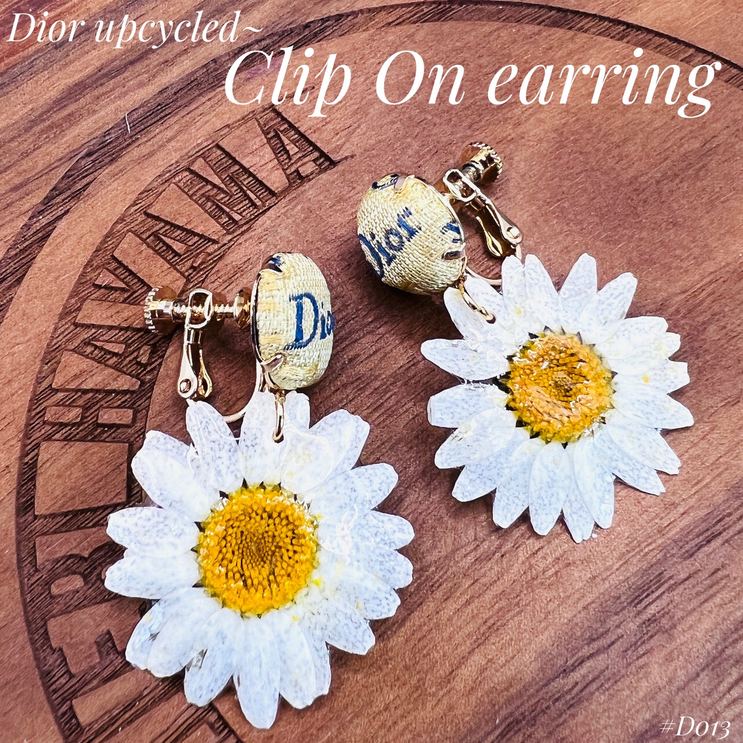 D-Drop earring- real daisy flower